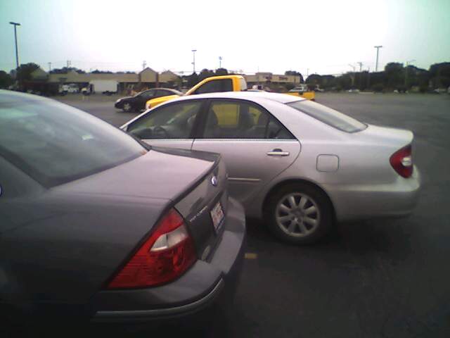 What a Park JoB!